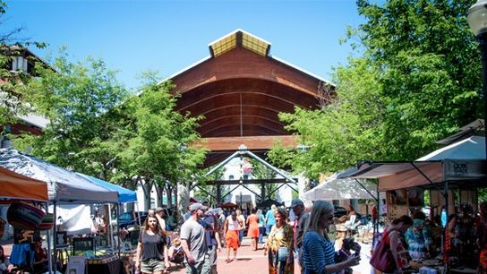 Arkansas Gains Popularity as Moving Destination, New Study Shows